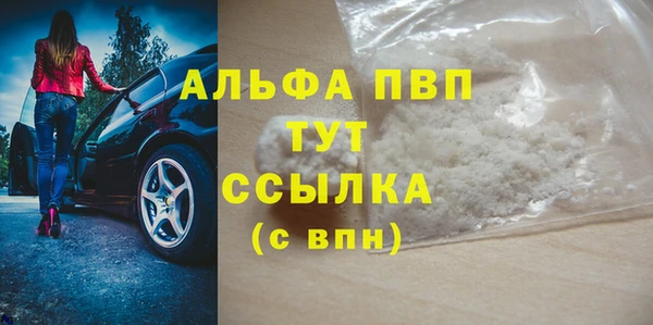 стафф Аркадак