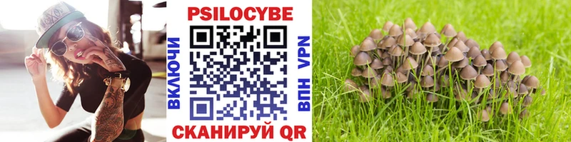 Галлюциногенные грибы мухоморы  Саянск 