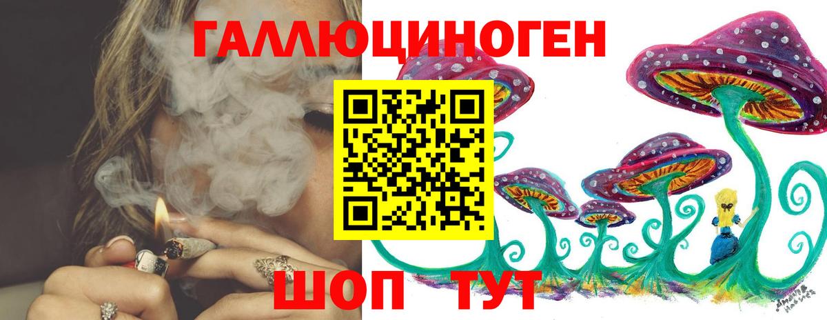 Саянск  Галлюциногенные грибы Psilocybine cubensis  Вход с VPN 