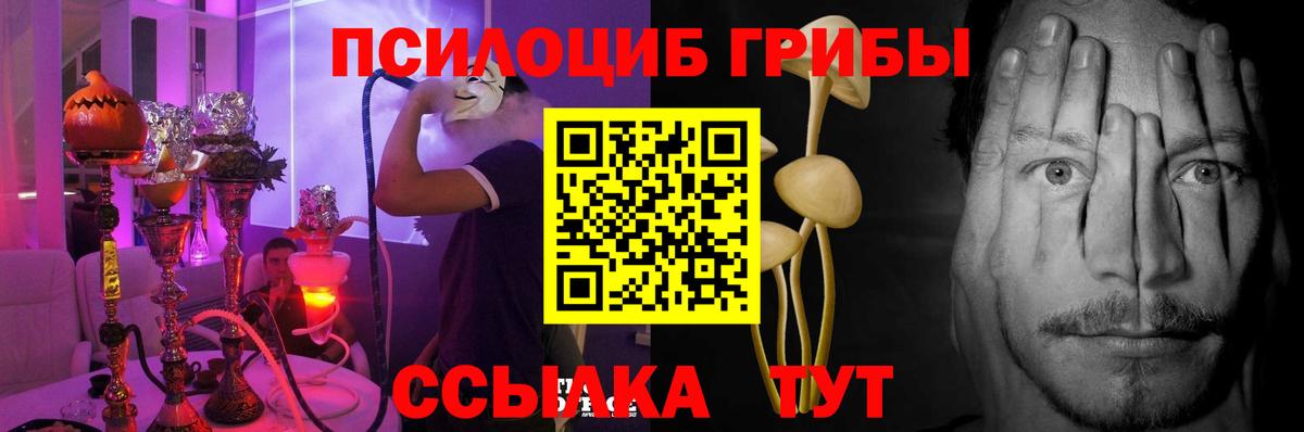 Галлюциногенные грибы Cubensis Саянск